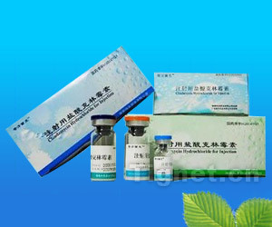 注射用鹽酸克林霉素全面解析 從功效、代理到市場準入信息